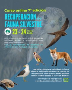 Curso recuperación fauna Ecourbe